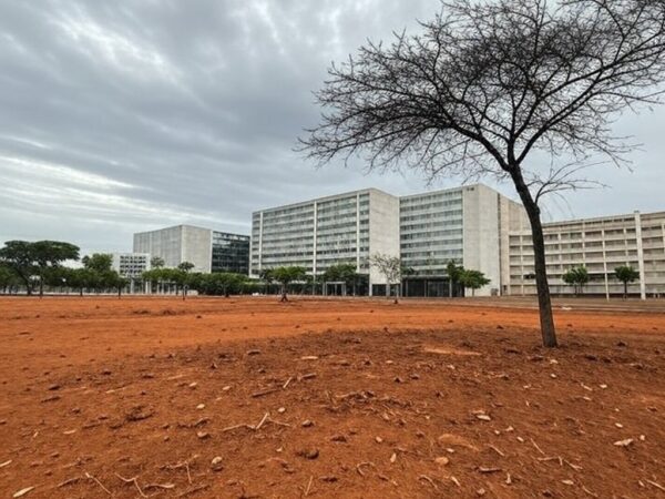 Paisagem urbana de Brasília com pouca arborização e danos ambientais visíveis em avenida modernista.
