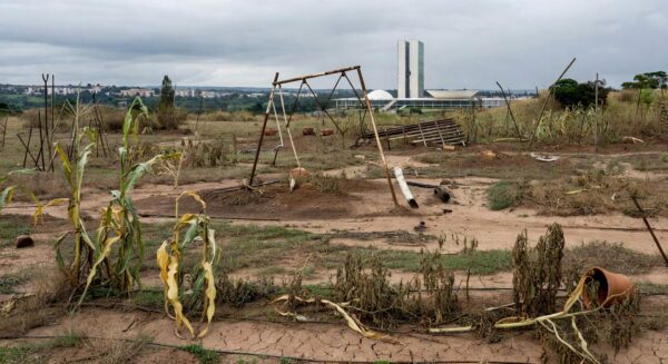 Horta urbana negligenciada no DF, com plantas secas e estruturas deterioradas em Brasília.
