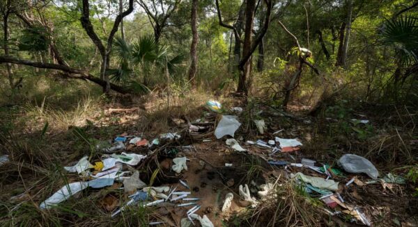 1 de 1 caes-mortos - Foto: Reprodução/Entorno News