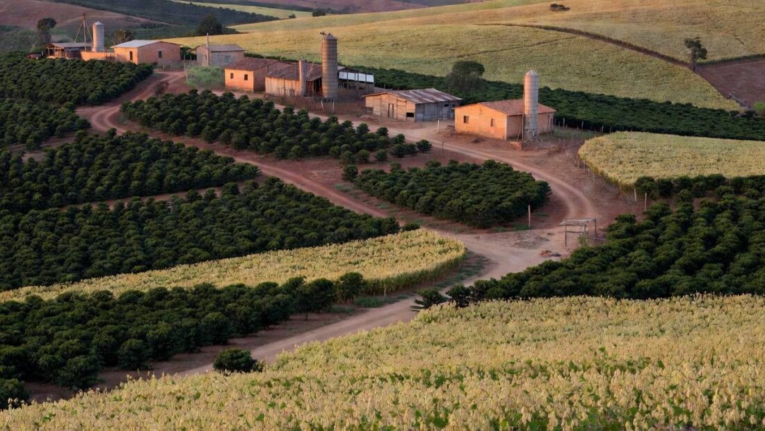 Paisagem rural no Distrito Federal com campos agrícolas sob céu nublado
