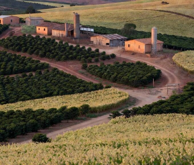 Paisagem rural no Distrito Federal com campos agrícolas sob céu nublado