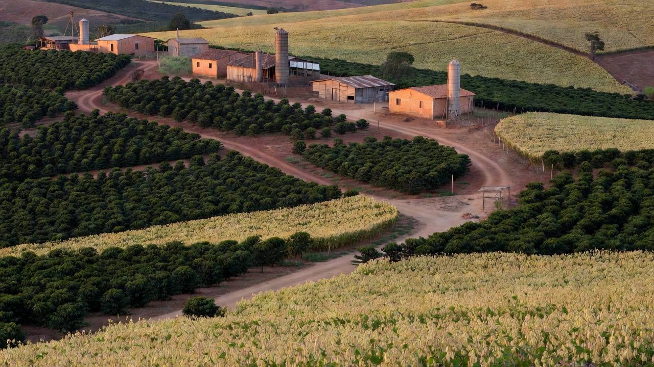 Paisagem rural no Distrito Federal com campos agrícolas sob céu nublado