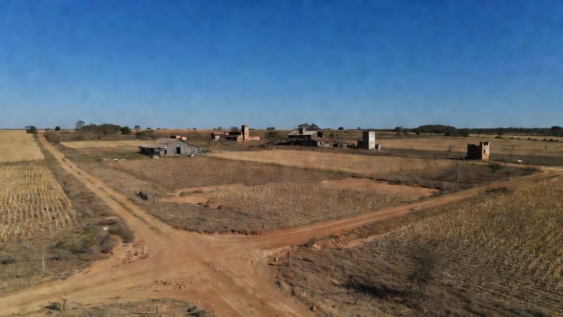 Campos de soja e milho no Cerrado representando crédito rural aprovado pela CLDF
