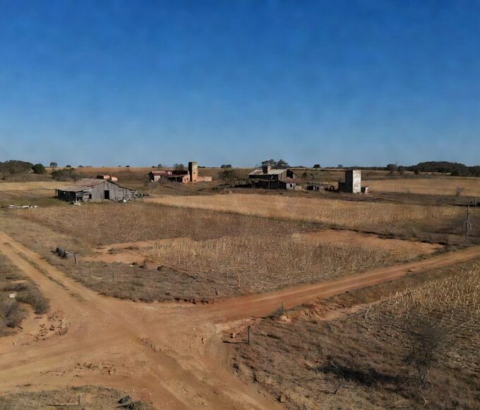 Campos de soja e milho no Cerrado representando crédito rural aprovado pela CLDF