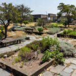Jardim terapêutico em Brasília com plantas e caminhos, lei sancionada sem regulamentação