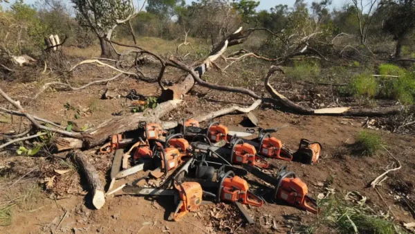 Motosserras apreendidas em desmatamento irregular em Arniqueiras
