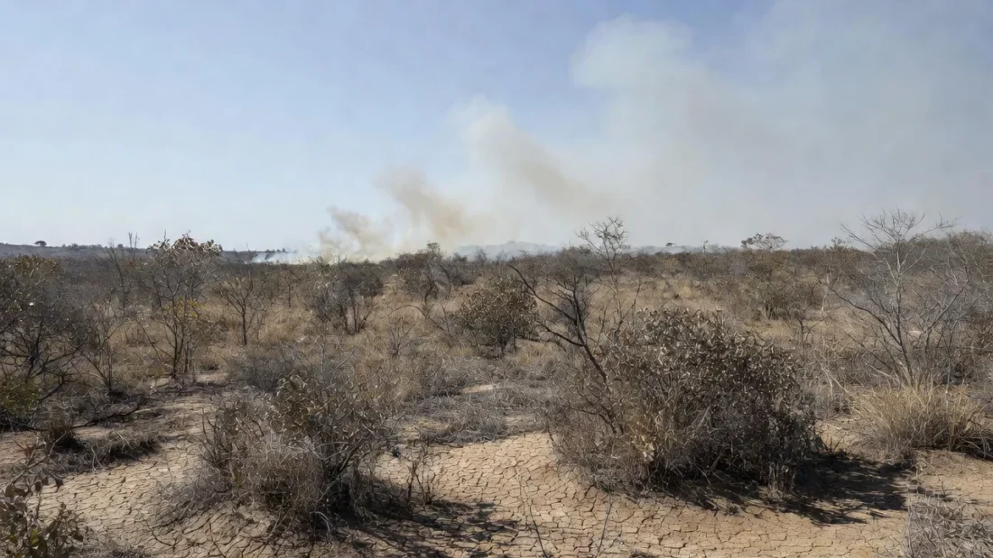 Cerrado do Distrito Federal com incêndios durante seca de 54 dias sem chuva