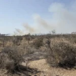 Cerrado do Distrito Federal com incêndios durante seca de 54 dias sem chuva
