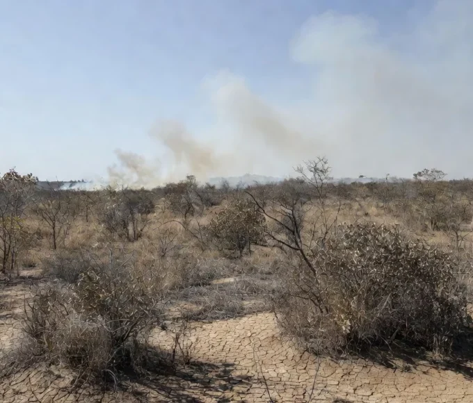 Cerrado do Distrito Federal com incêndios durante seca de 54 dias sem chuva