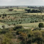 Paisagem do Cerrado com práticas agrícolas sustentáveis de conservação