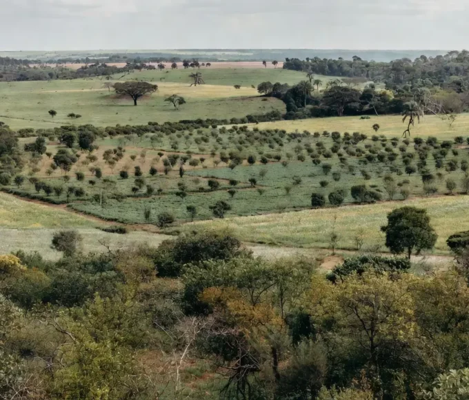 Paisagem do Cerrado com práticas agrícolas sustentáveis de conservação