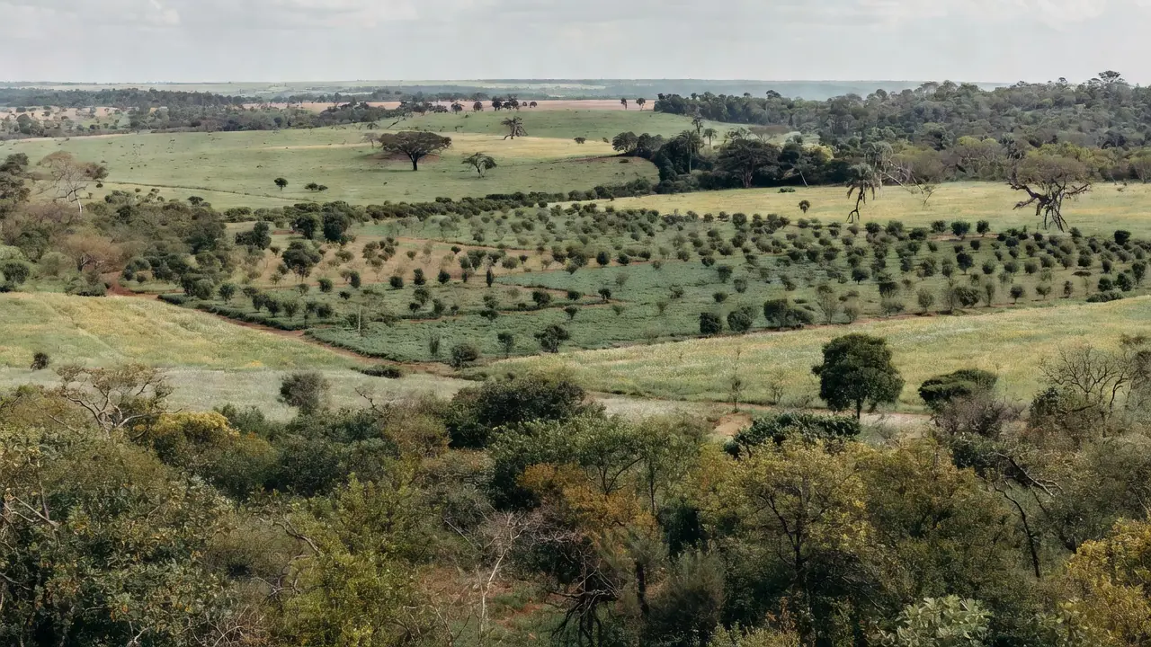 Paisagem do Cerrado com práticas agrícolas sustentáveis de conservação
